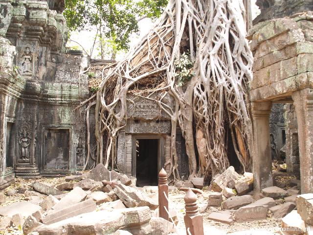 Cambodja - Ta Phrom tempel