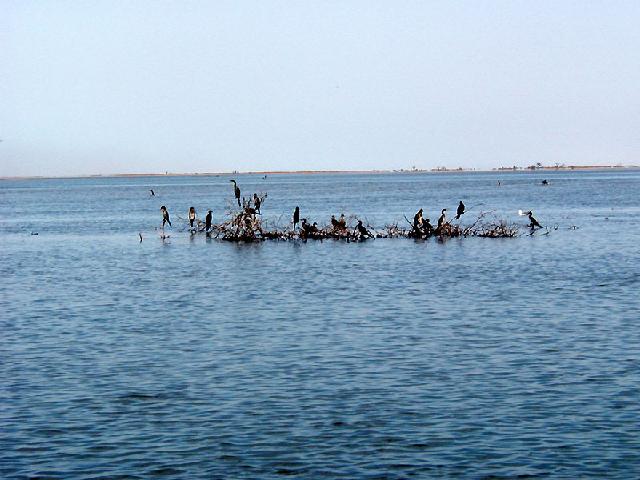 Senegal - 